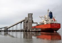 Parque Industrial y Puerto de Bahia Blanca: Empresas Radicadas, Logistica y Oportunidades para Pymes