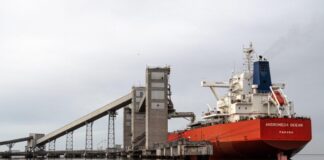 Parque Industrial y Puerto de Bahia Blanca: Empresas Radicadas, Logistica y Oportunidades para Pymes